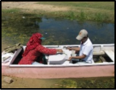 Wetland Conservation and Management of Haryana Inland Wetland