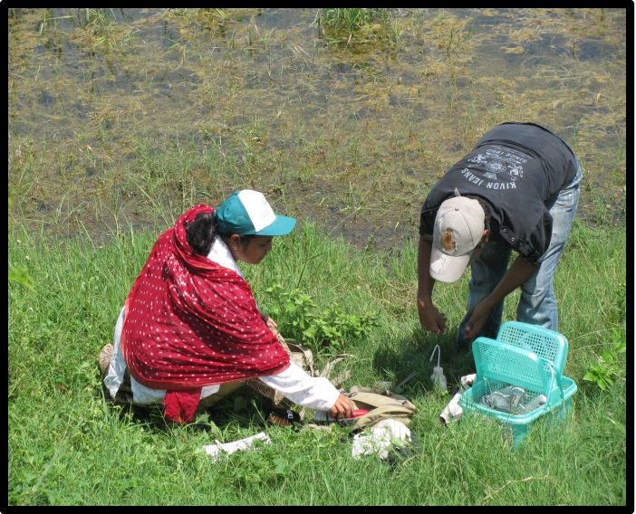 Wetland Conservation and Management of Haryana Inland Wetland