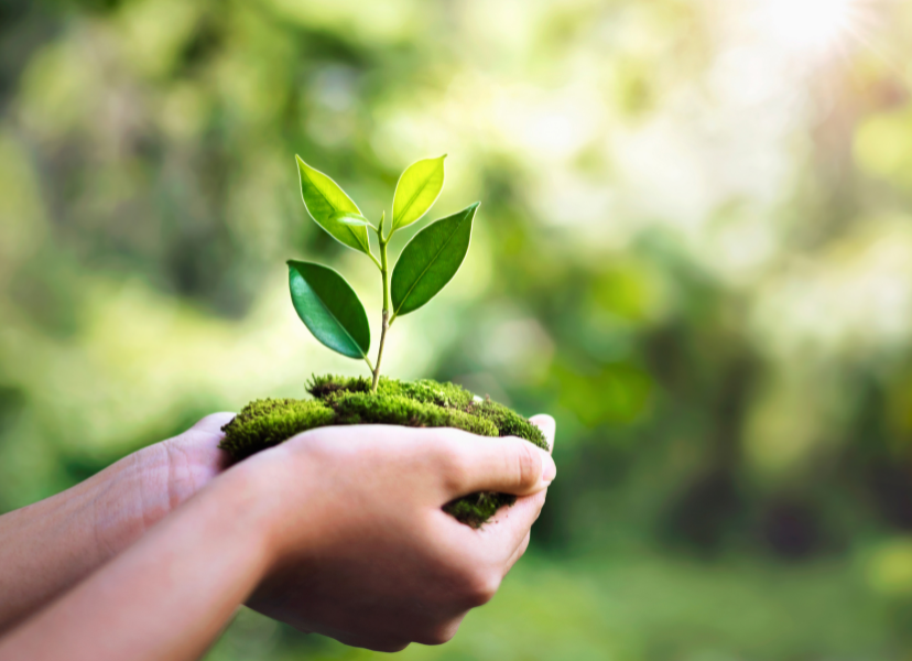 Environment and Natural Resources
